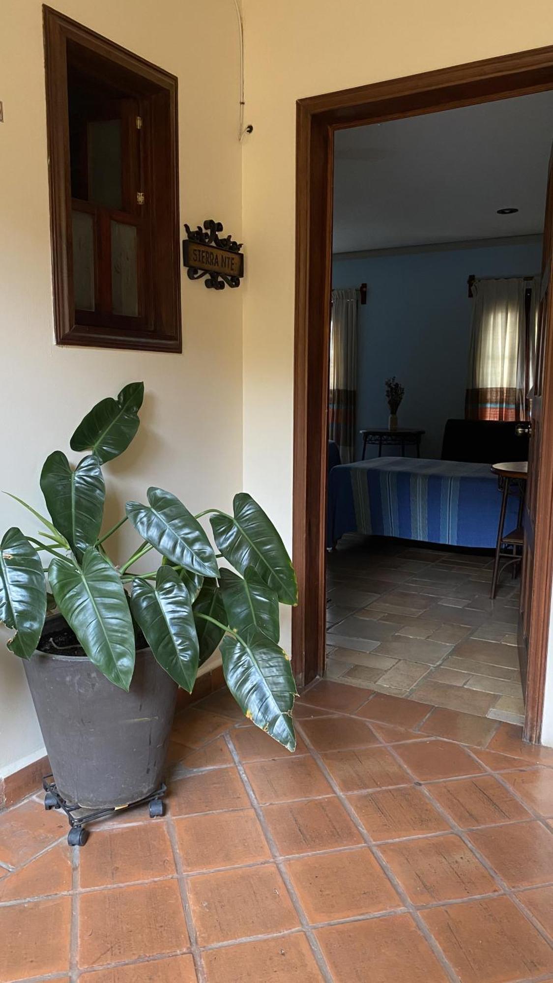 Posada Regional Oaxaca Экстерьер фото